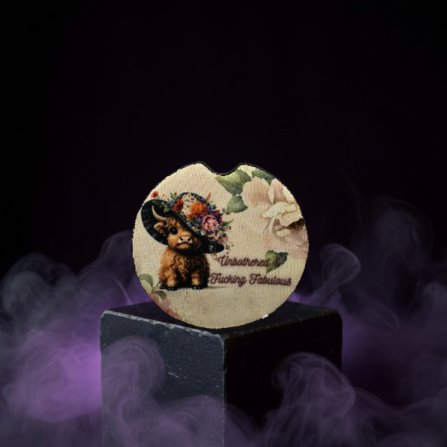 Humorous Car Coaster 2pk Multiple Designs to choose From